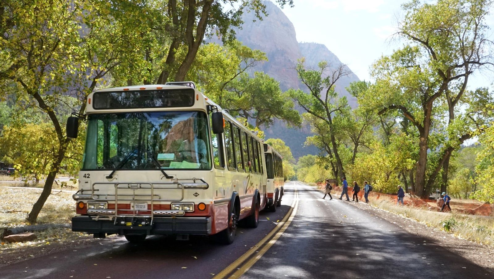 Shuttle bus on a scenic road in Zion National Park surrounded by autumn foliage and trees.