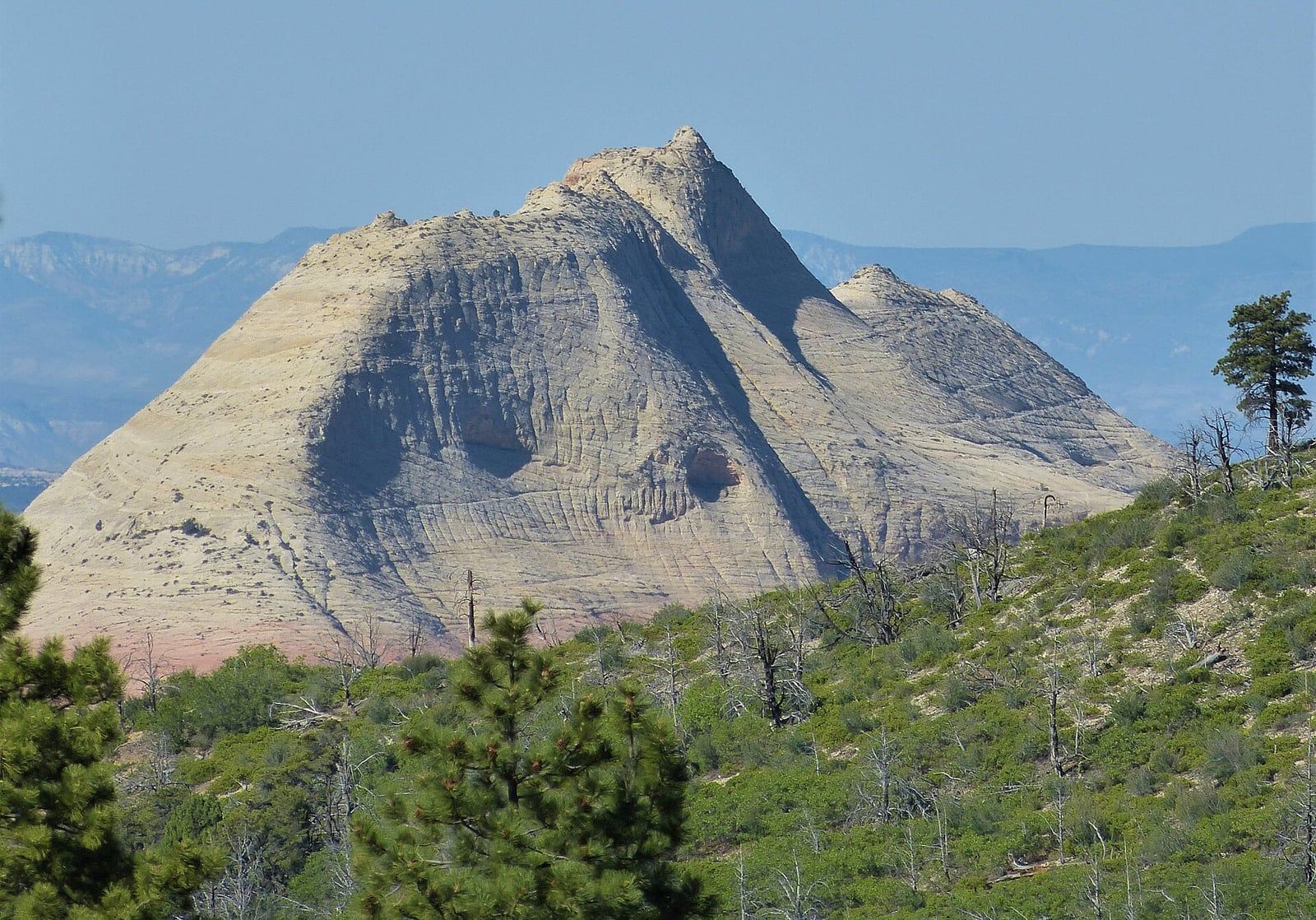South Guardian Angel Peak, Zion National Park South Guardian Angel sandstone peak rises above pine forest in Zion National Park, Utah, with distant mountains behind.