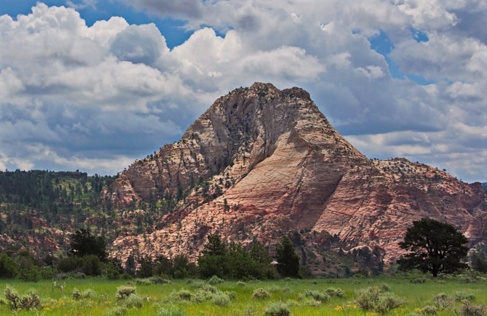 Pine Valley Peak Rising Over Southern Utah Meadow A towering sandstone peak rises above a green meadow and sagebrush in southern Utah under dramatic storm clouds.