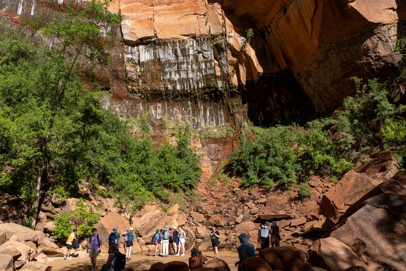 Hikers at Emerald Pools Zion National Park A group of hikers gathers beneath towering weeping sandstone cliffs at Zion's Emerald Pools trail.