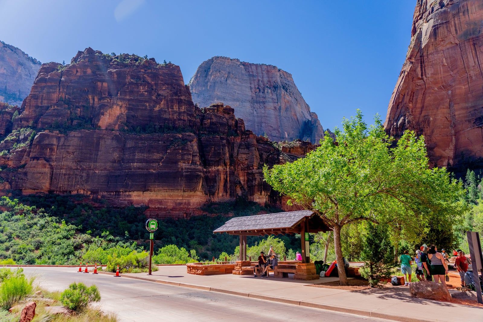 Zion Canyon Shuttle Stop With Red Rock Backdrop Visitors wait at a shaded Zion National Park shuttle stop with towering red rock cliffs rising behind them.
