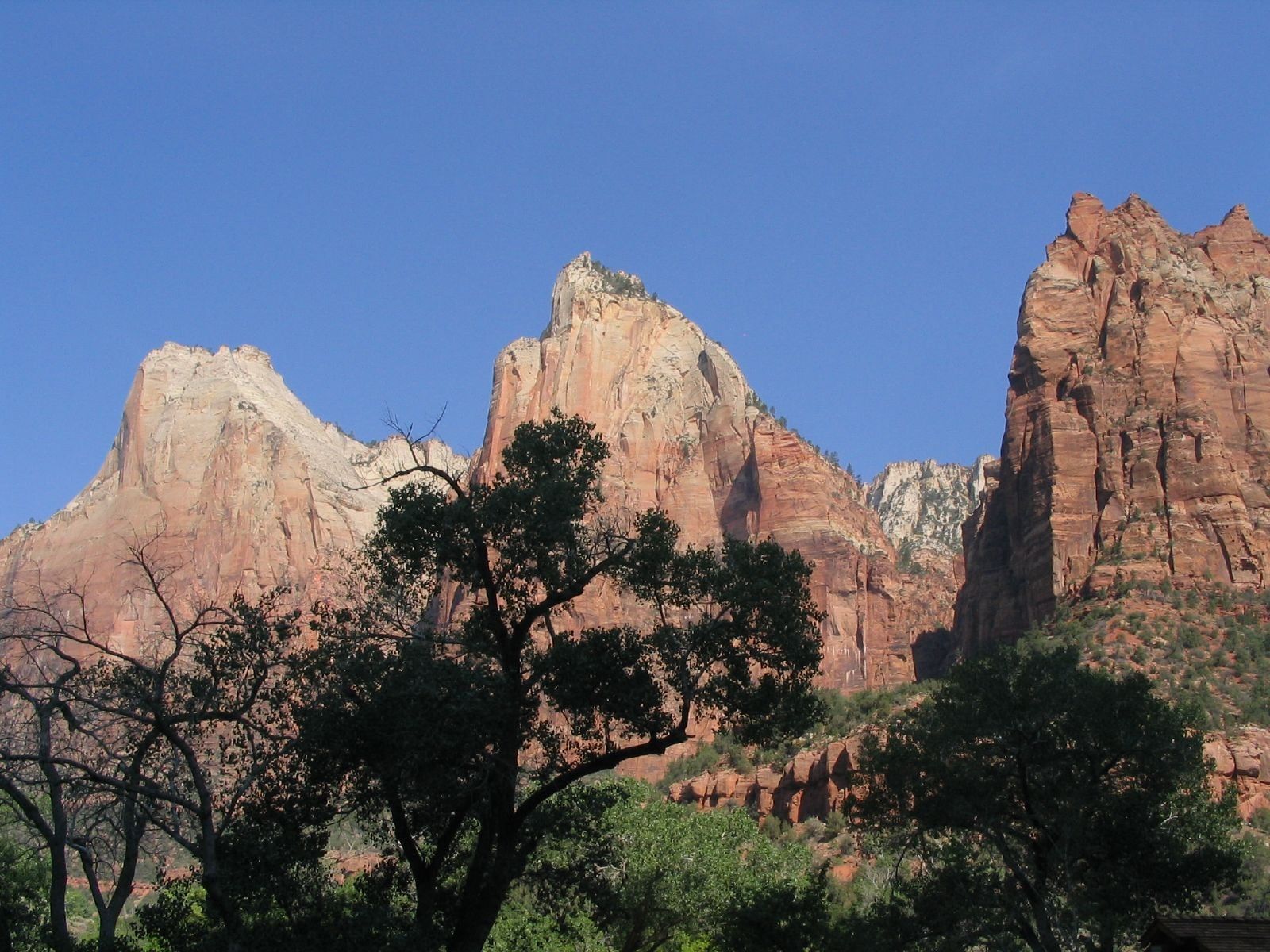 Court of the Patriarchs, Zion National Park The Three Patriarchs rise above tree silhouettes in Zion Canyon on a clear blue-sky day.