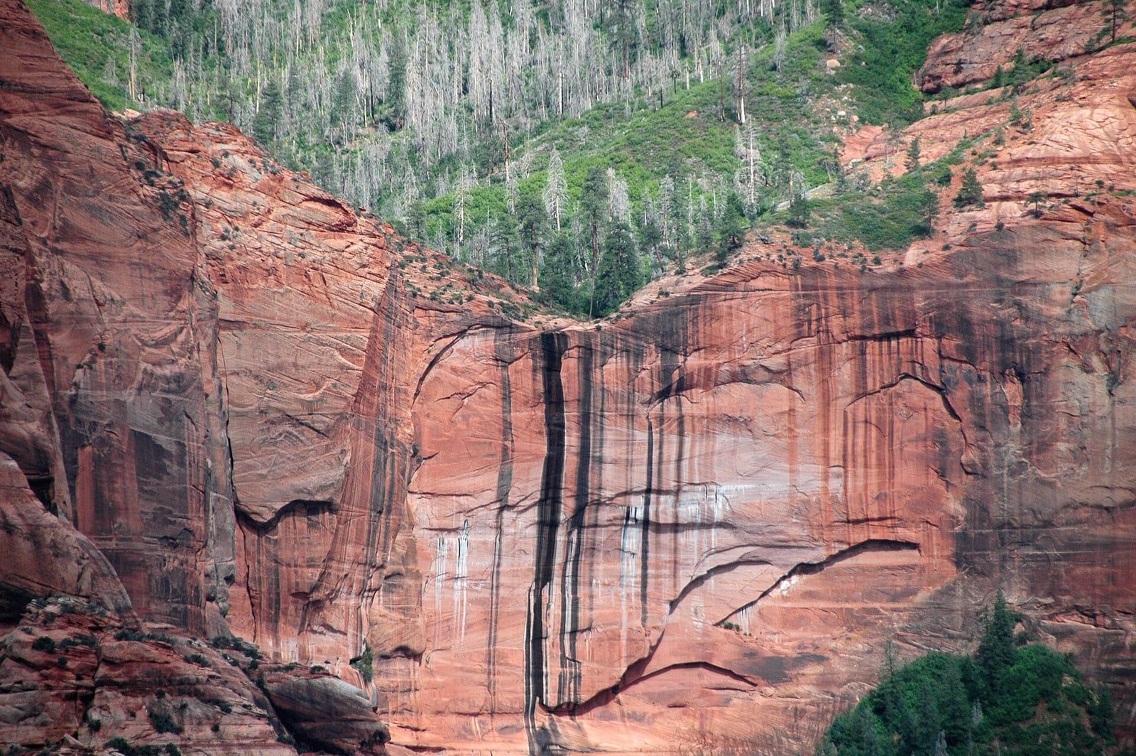Kolob Canyon Hanging Valley and Sandstone Cliffs A dramatic hanging valley carved into red Navajo sandstone cliffs in Kolob Canyon, Zion National Park, Utah.