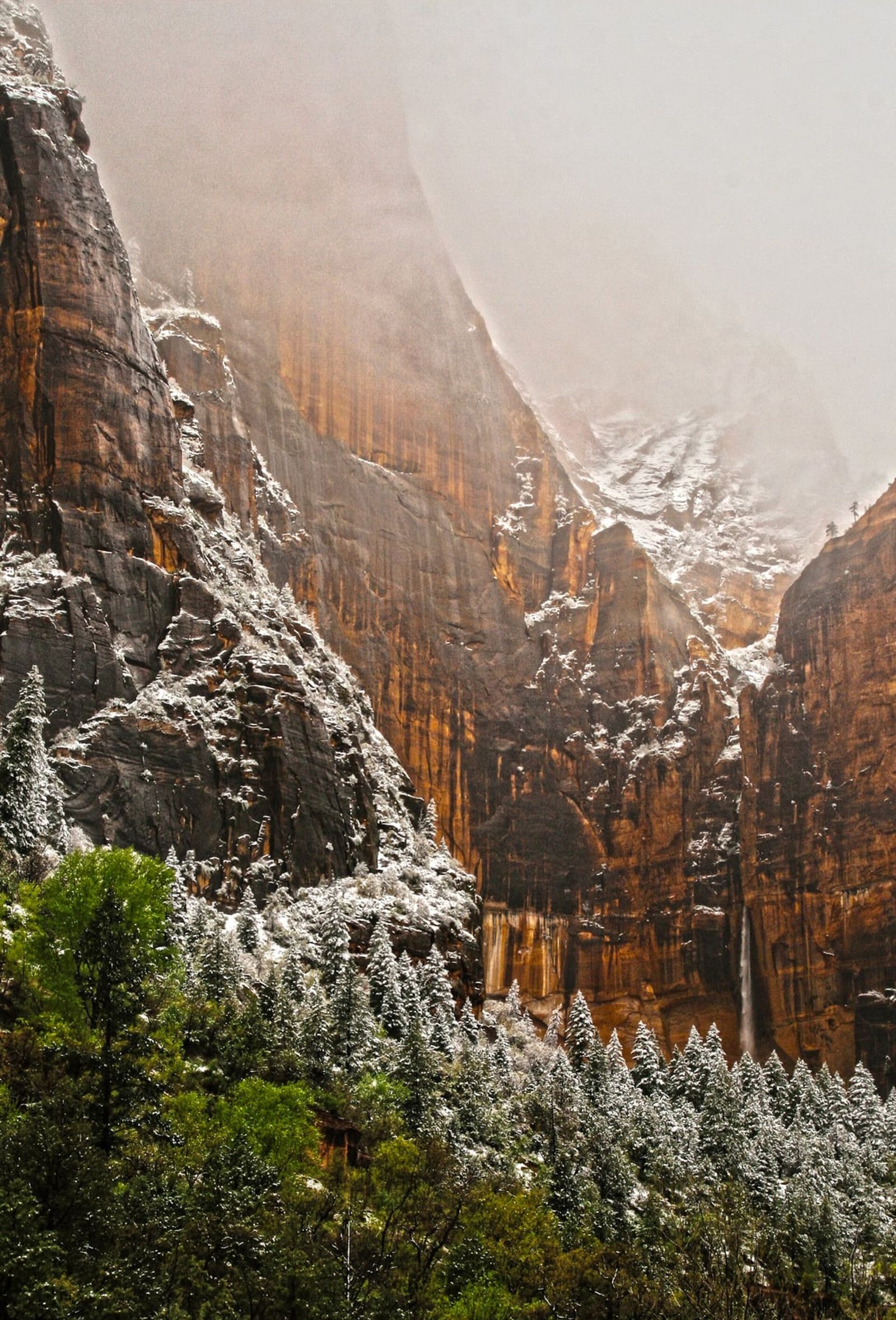 Snow-dusted trees and towering red sandstone cliffs frame a winter waterfall in Zion National Park, Utah.