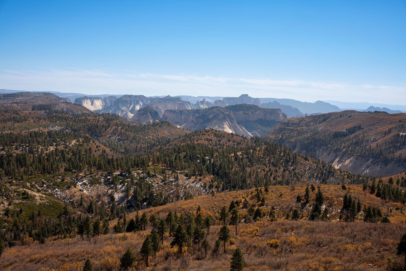 Kolob Terrace Panoramic View, Zion National Park Sweeping panoramic view of Kolob Terrace in Zion National Park with pine forests and autumn foliage below distant sandstone cliffs.