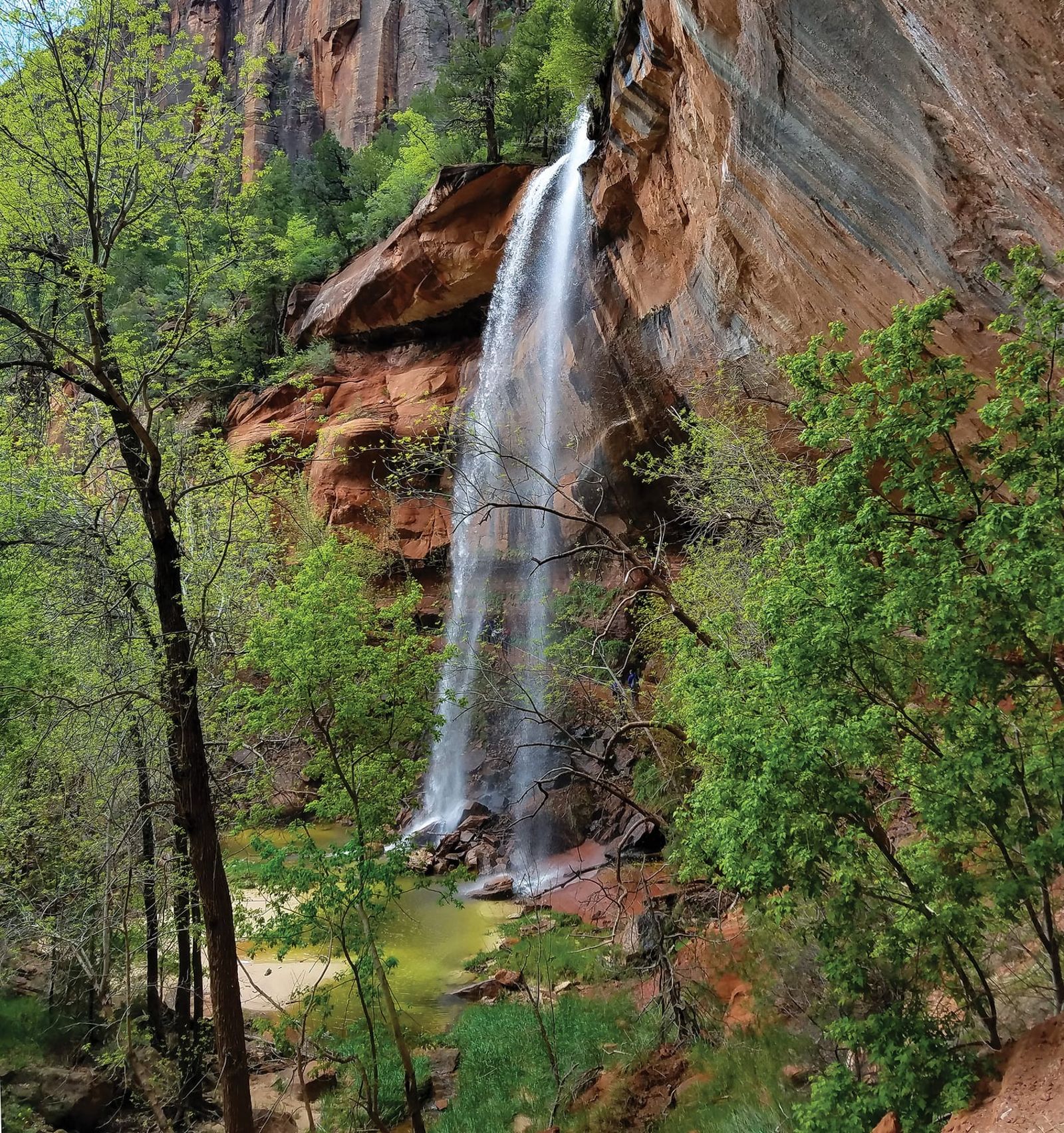 Emerald Pools Waterfall, Zion National Park A tall waterfall cascades down red sandstone cliffs into a green pool at Zion's Emerald Pools trail.