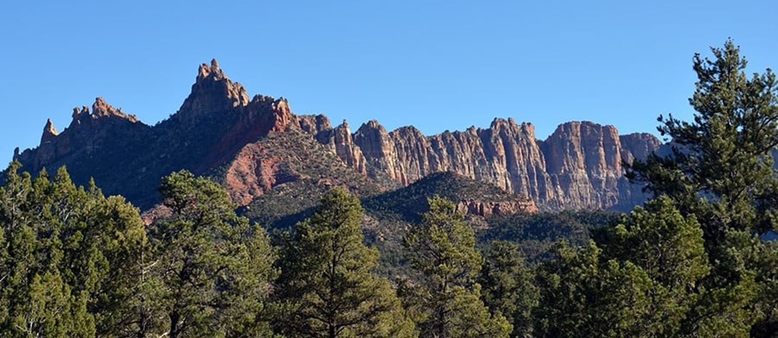 Red Rock Cliffs and Pines Near Zion Canyon Jagged red sandstone cliffs and rocky spires rise above pinyon pine trees under a clear blue sky near Zion National Park.