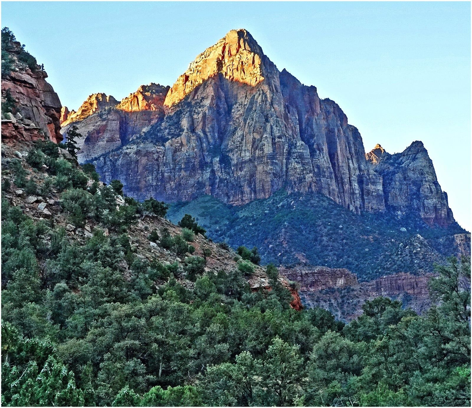 The Watchman at Sunrise, Zion National Park The Watchman peak glows with warm golden sunrise light above green tree-covered slopes in Zion National Park.