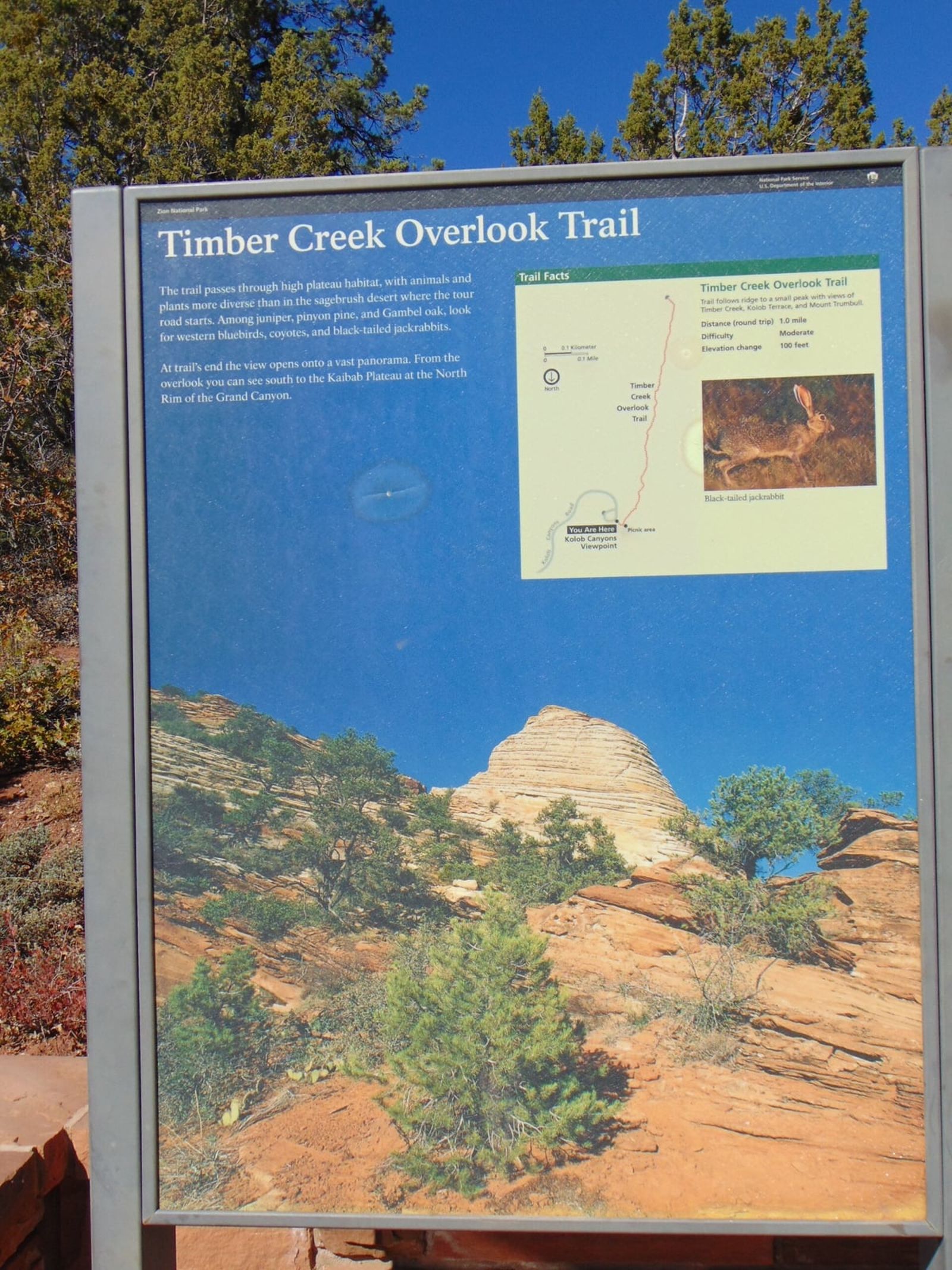 Timber Creek Overlook Trail Sign, Kolob Canyon National Park Service interpretive sign for Timber Creek Overlook Trail in Kolob Canyon, Zion National Park.