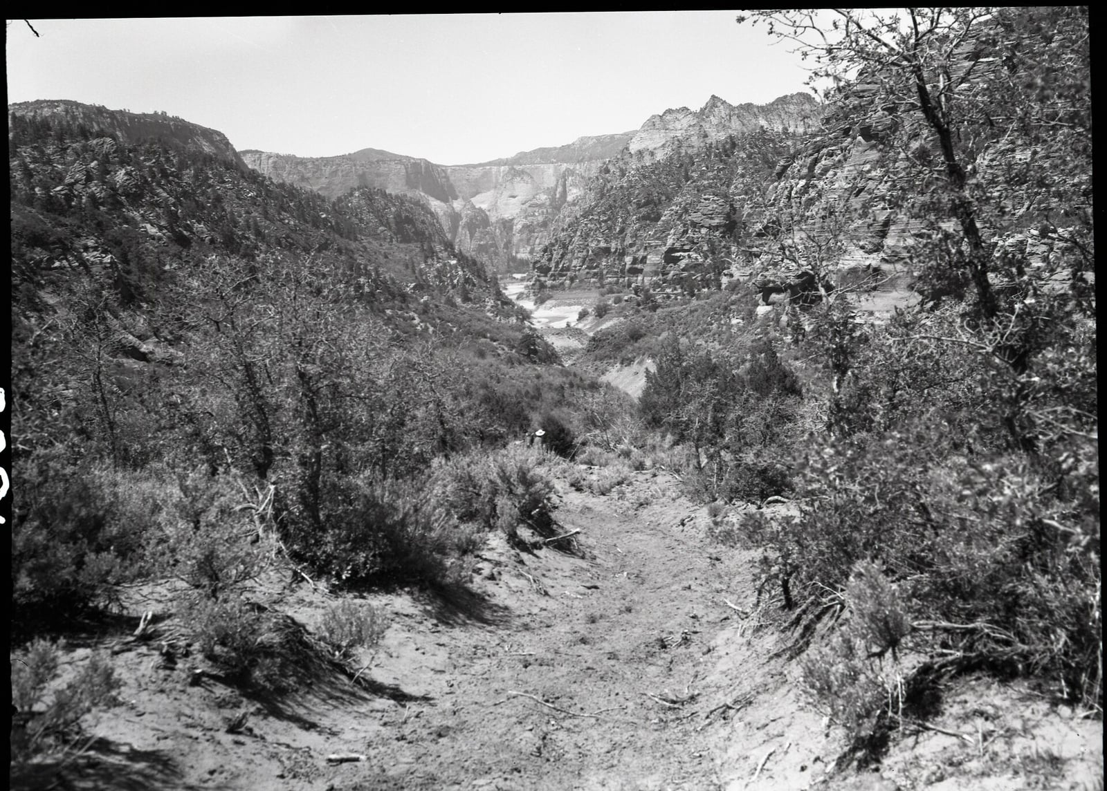 A historic black-and-white photo of a sandy trail winding through desert scrub toward Kolob Canyon's towering sandstone cliffs.
