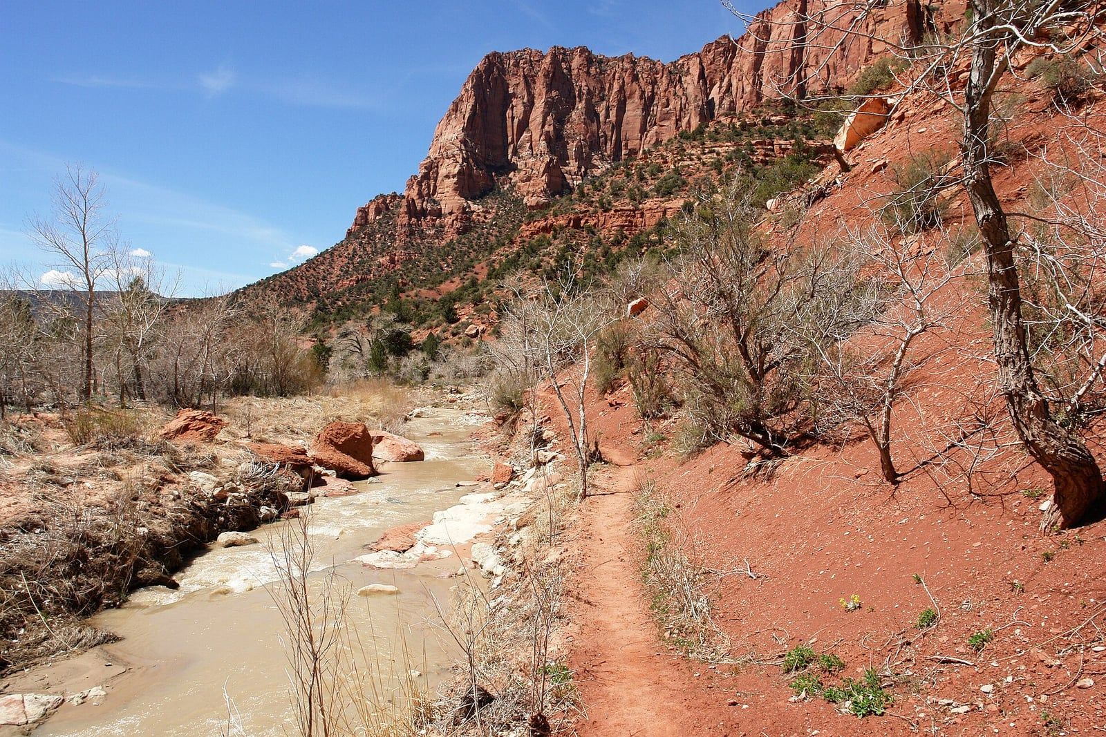 Riverside Trail Through Kolob Canyons, Zion A muddy river runs alongside a red dirt hiking trail below towering sandstone cliffs in Kolob Canyons, Zion National Park.