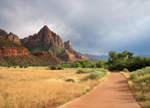The Watchman peak rises over a paved trail and golden meadow under stormy skies in Zion National Park.