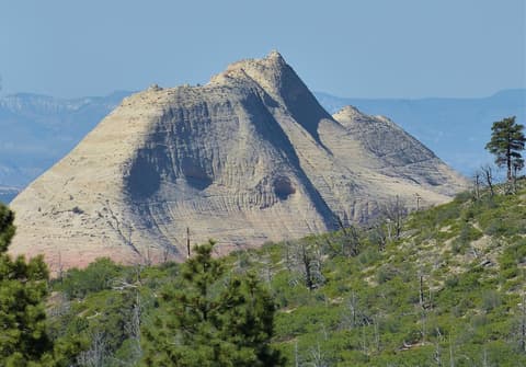 South Guardian Angel sandstone peak rises above pine forest in Zion National Park, Utah, with distant mountains behind.