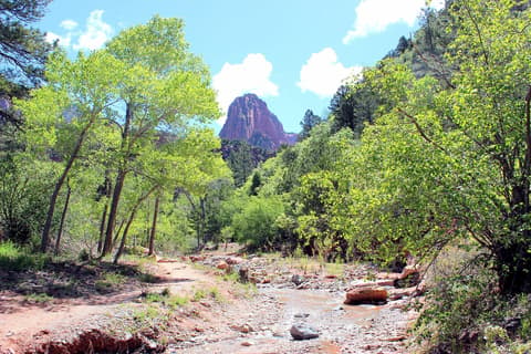 A shallow rocky stream winds through lush green trees toward a red sandstone peak in Kolob Canyon, Zion National Park.