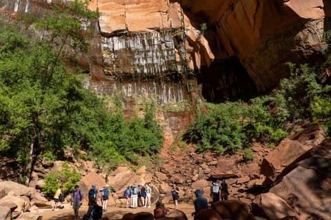 A group of hikers gathers beneath towering weeping sandstone cliffs at Zion's Emerald Pools trail.