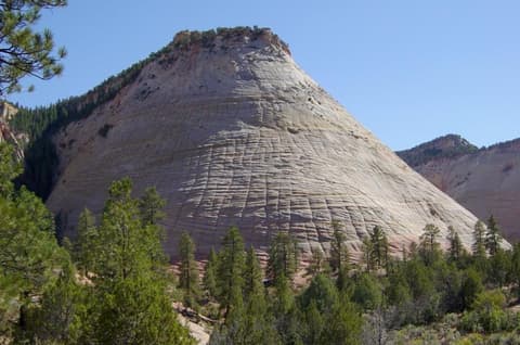 Checkerboard Mesa's iconic crosshatch sandstone patterns rise above pine trees in Zion National Park, Utah.
