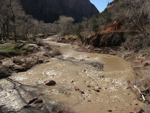 A swollen, muddy Virgin River rushes through Zion Canyon in winter with bare trees and red sandstone cliffs.