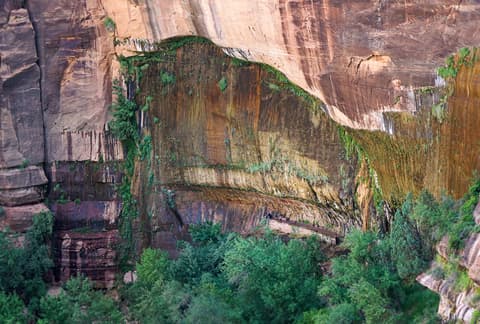 Lush hanging gardens drape a massive sandstone cliff along the Emerald Pools trail in Zion National Park.