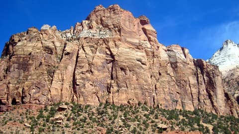 Towering sandstone cliffs of Mount Spry rise above scrubby desert vegetation in Zion Canyon, Utah.