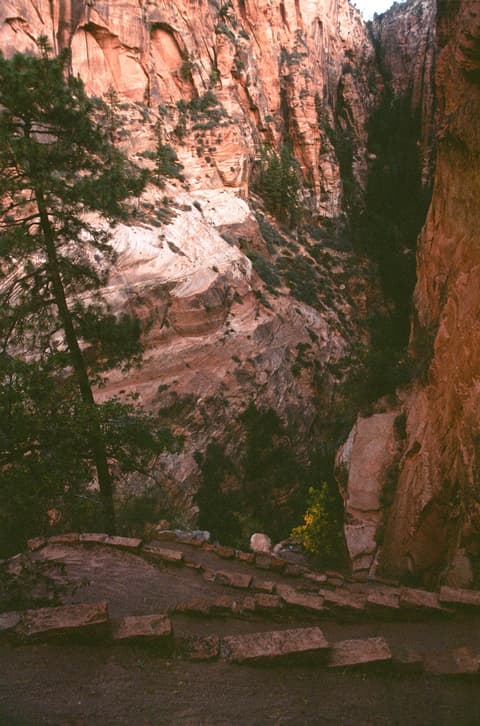 A stone-edged hiking trail winds through towering red sandstone canyon walls on Angels Landing in Zion National Park.