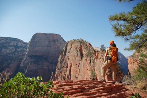 A hiker with an orange backpack stands at Scout Lookout gazing toward Angels Landing in Zion National Park.