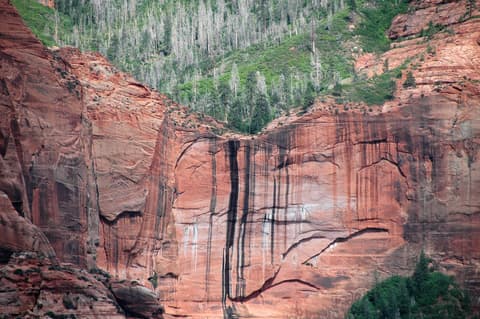 A dramatic hanging valley carved into red Navajo sandstone cliffs in Kolob Canyon, Zion National Park, Utah.