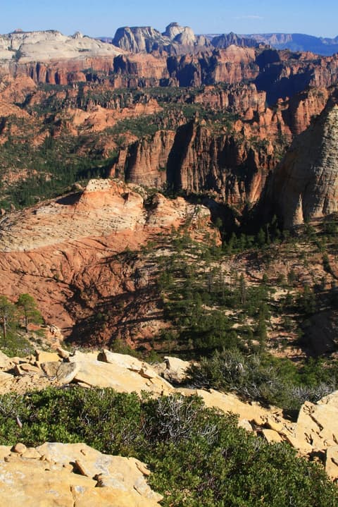 Sweeping high-elevation view of Zion Canyon's layered red sandstone cliffs and pine-dotted terrain from a backcountry overlook.