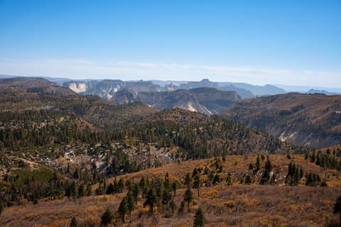 Sweeping panoramic view of Kolob Terrace in Zion National Park with pine forests and autumn foliage below distant sandstone cliffs.