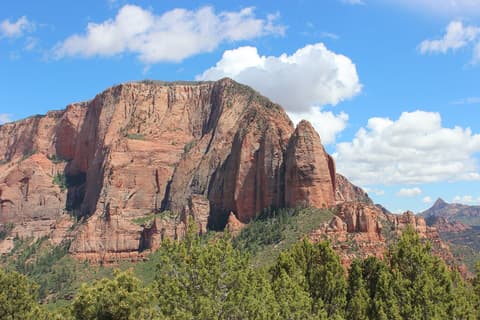 Massive red sandstone cliffs of Kolob Canyon rise above green pinyon pines under a bright blue sky in Zion National Park.