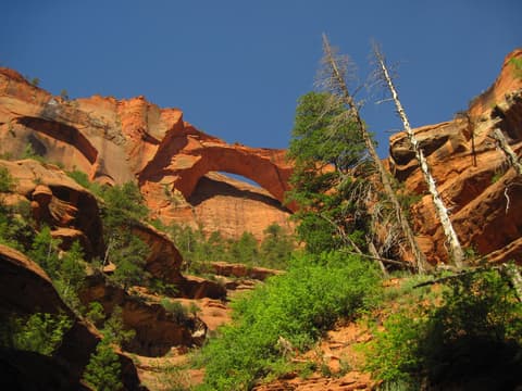 A natural sandstone arch spans red rock canyon walls above lush green vegetation in Zion National Park, Utah.