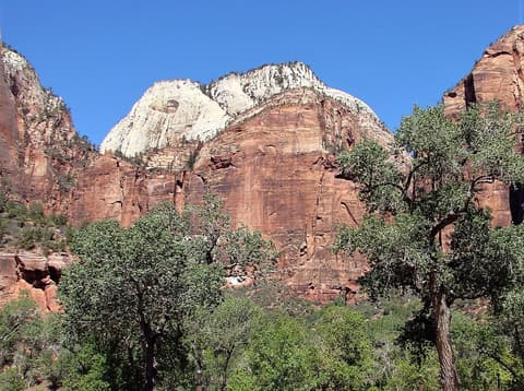 Towering red sandstone cliffs and white-capped Castle Dome rise above lush green trees in Zion Canyon, Utah.