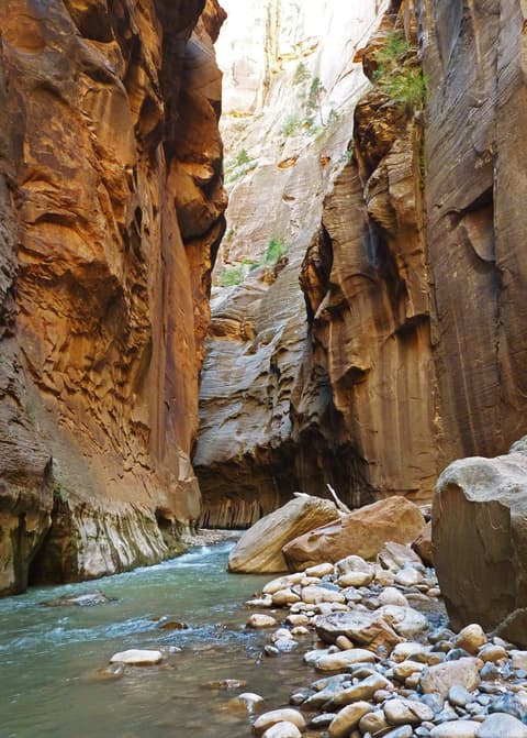 The Narrows slot canyon in Zion National Park with the Virgin River flowing between towering sandstone walls.