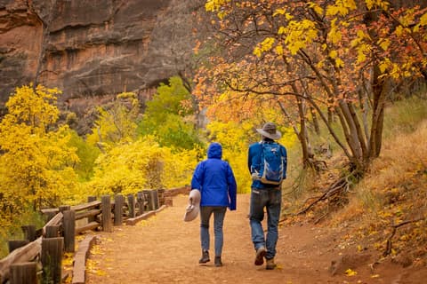 Two hikers walk a paved canyon trail surrounded by vibrant autumn foliage and red sandstone cliffs in Zion National Park.