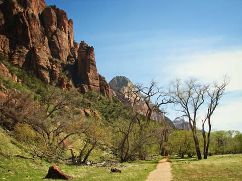 A dirt hiking trail winds through Zion Canyon's valley floor, framed by towering red sandstone cliffs and budding cottonwood trees.