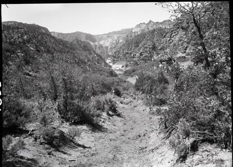 A historic black-and-white photo of a sandy trail winding through desert scrub toward Kolob Canyon's towering sandstone cliffs.