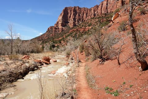 A muddy river runs alongside a red dirt hiking trail below towering sandstone cliffs in Kolob Canyons, Zion National Park.