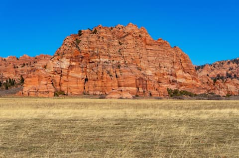 Massive red sandstone butte rises above a golden grass meadow under a clear blue sky in Zion National Park.