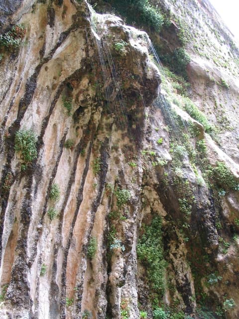 Water seeps down the moss-covered sandstone face of Weeping Rock in Zion National Park, Utah.